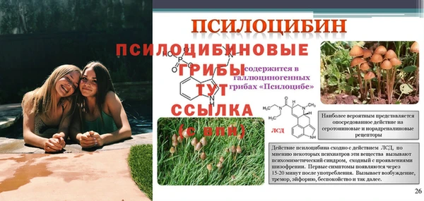 шишки Богданович