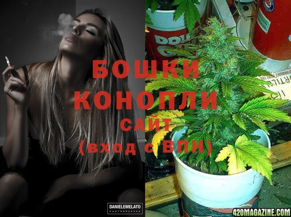 шишки Богданович