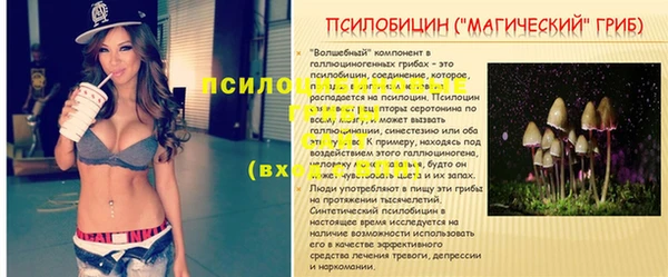 2c-b Богородицк