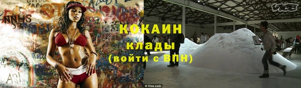 шишки Богданович