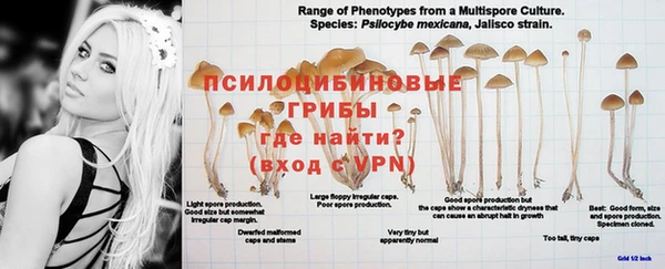 молекула духа Белокуриха